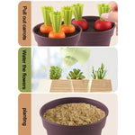 Set di piante in vaso in paglia di grano biologica