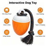 Gioco automatico per cani con luci e suoni ricaricabile