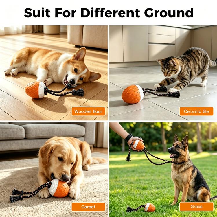 Gioco automatico per cani con luci e suoni ricaricabile