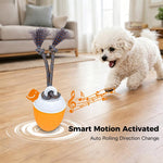Gioco automatico per cani con luci e suoni ricaricabile
