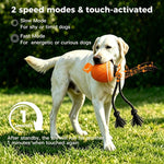 Gioco automatico per cani con luci e suoni ricaricabile