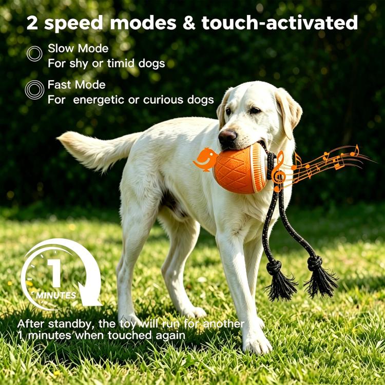 Gioco automatico per cani con luci e suoni ricaricabile