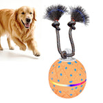 Palla giocattolo automatica per cani con luci e suoni