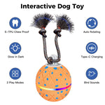Palla giocattolo automatica per cani con luci e suoni