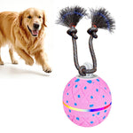 Palla giocattolo automatica per cani con luci e suoni