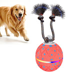 Palla giocattolo automatica per cani con luci e suoni