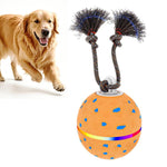 Palla giocattolo automatica per cani con luci e suoni