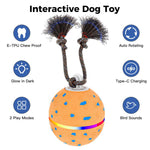 Palla giocattolo automatica per cani con luci e suoni