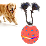 Palla giocattolo automatica per cani con luci e suoni