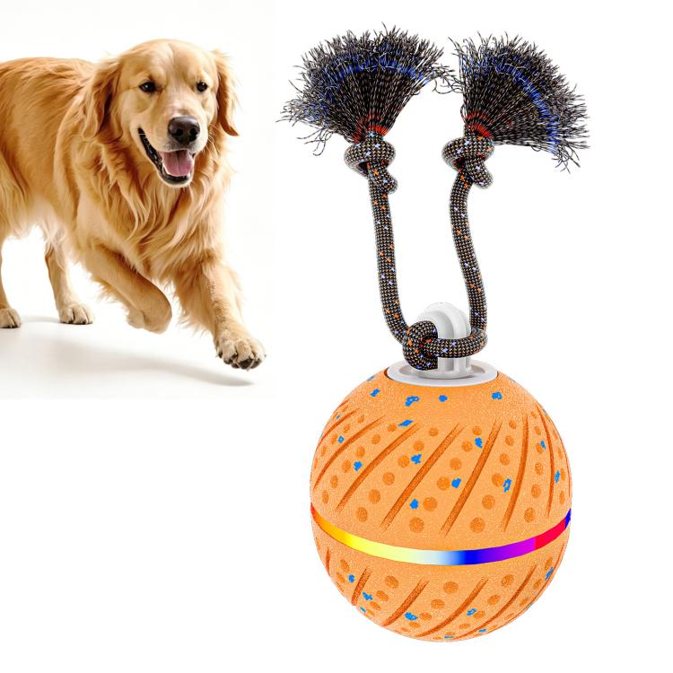 Palla giocattolo automatica per cani con luci e suoni