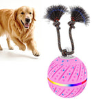 Palla giocattolo automatica per cani con luci e suoni