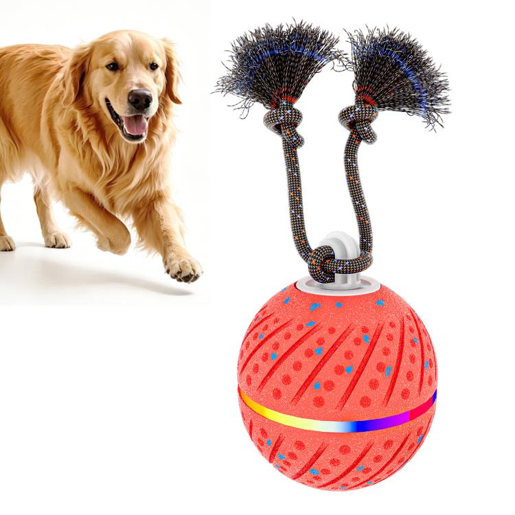 Palla giocattolo automatica per cani con luci e suoni
