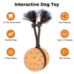 Palla giocattolo intelligente automatica per cani O29