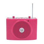 Microfono portatile Bluetooth KU-898 con amplificatore vocale