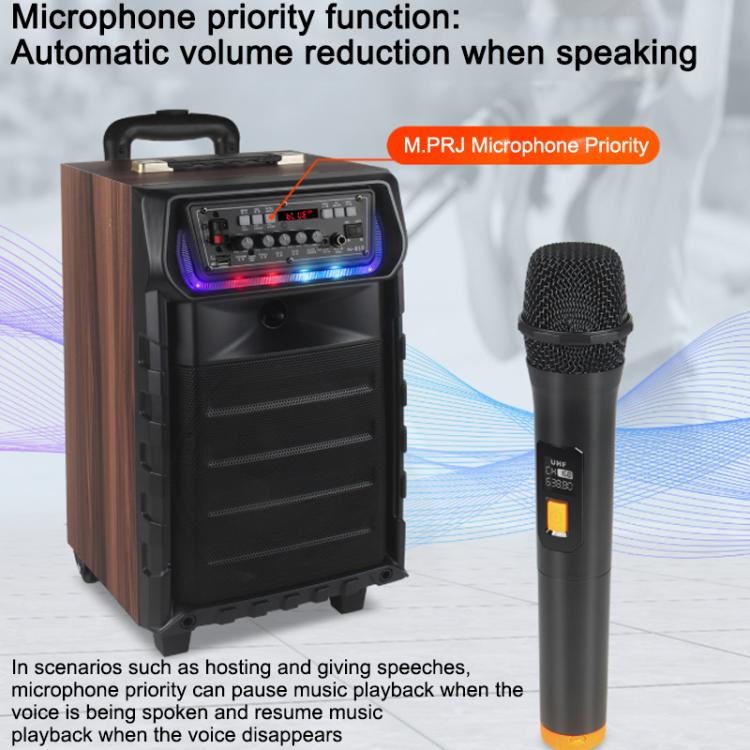 Altoparlante Bluetooth karaoke esterno woofer 8" RGB