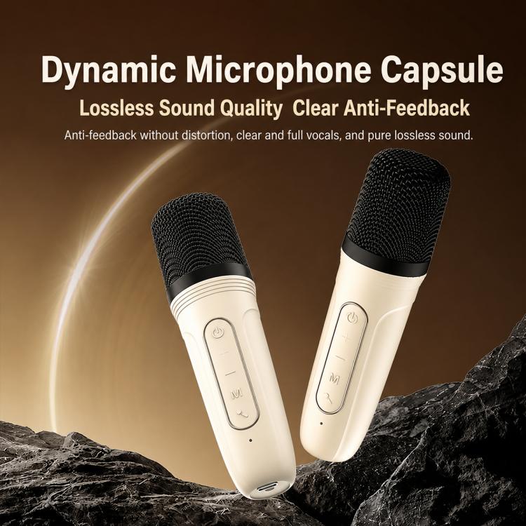 Altoparlante Bluetooth portatile ZGA PF010 con doppio microfono
