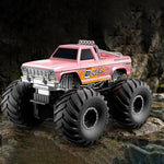 Auto telecomandata anfibia 4WD JJR/C Q245 2,4 GHz