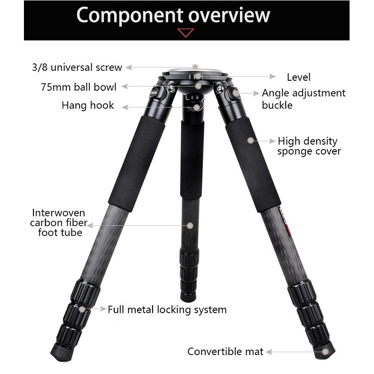 Treppiede grande in fibra di carbonio per videocamera robusta BEXIN ST424C, tubo massimo: 40 mm, ST424C