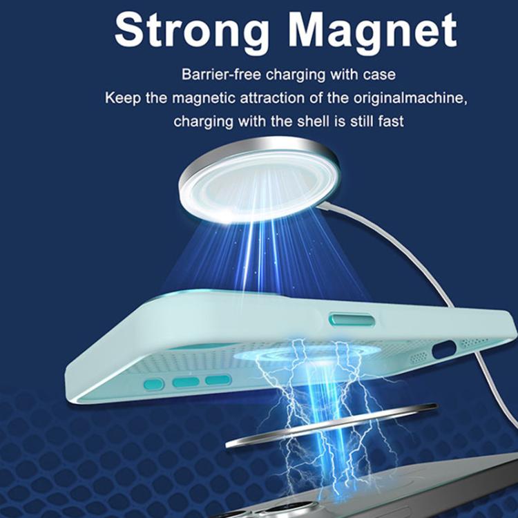 Custodia magnetica a nido d'ape per iPhone 11