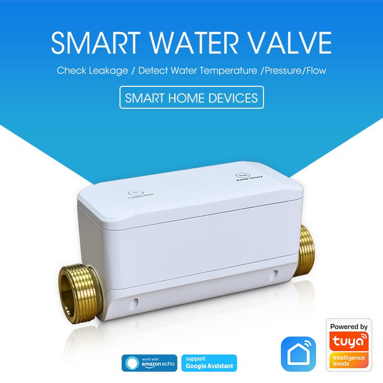 Valvola dell'acqua intelligente NEO NAS-WV02W WiFi 5G, WV02W