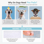Tappetino assorbente deodorante 10 in 1 per animali domestici 60x