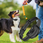 Collare antiabbaio automatico per cani PaiPaitek PD258B