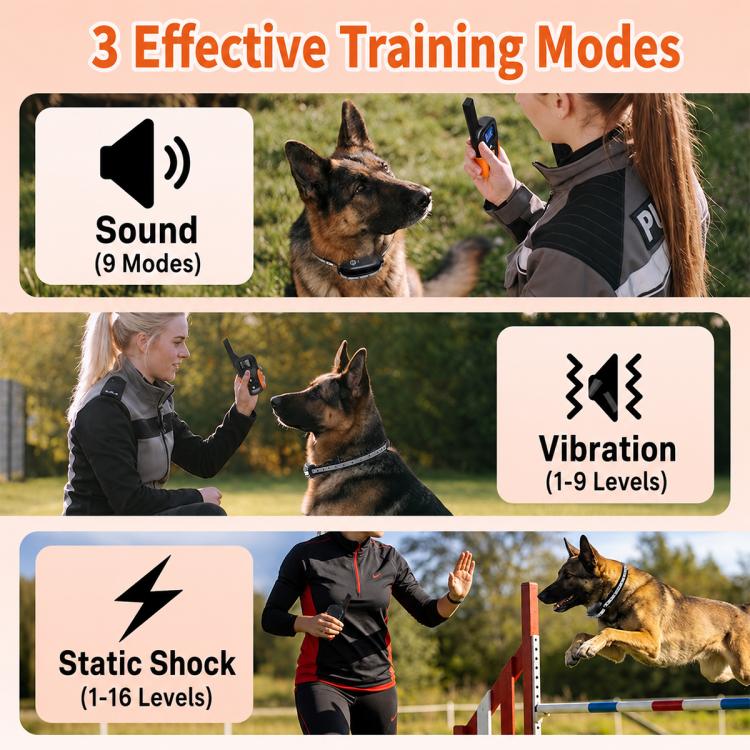 Collare antiabbaio per addestramento cani con telecomando