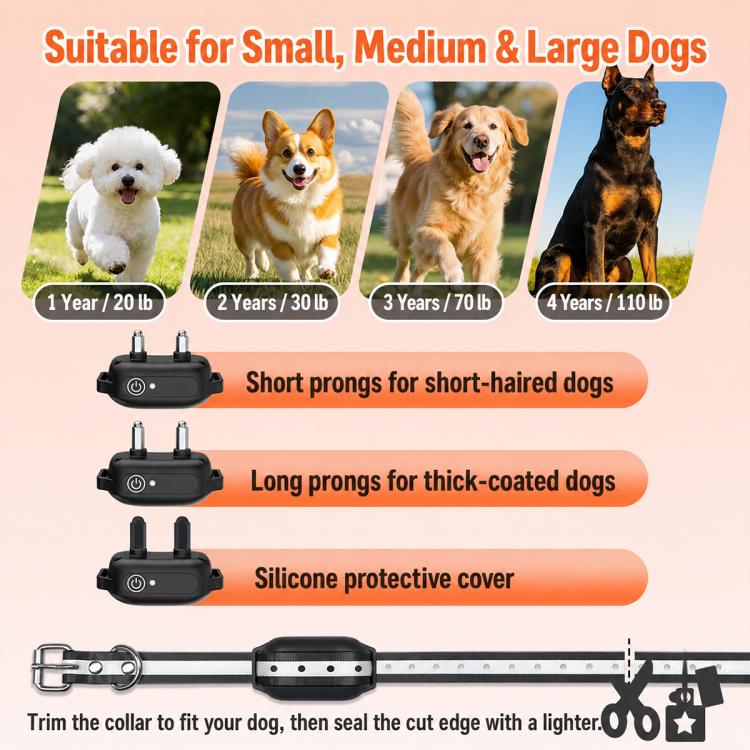Collare antiabbaio per addestramento cani con telecomando