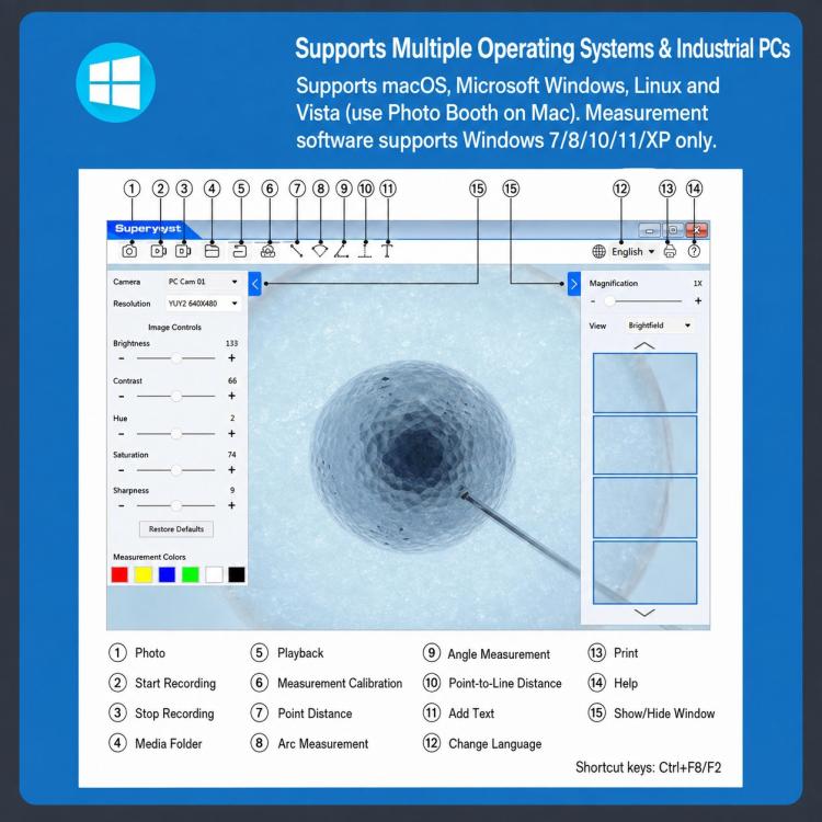 Lente d'ingrandimento per microscopio digitale Supereyes B013 da 12 MP