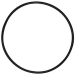 Guarnizione di ricambio O-ring per filtro acqua blu grande Pentek 151122