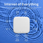 Gateway wireless multimodale Tuya per casa intelligente Wi-Fi Bluetooth Zigbee