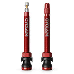 CYCLAMi - Coppia di valvole tubeless per bicicletta in alluminio (tipo Presta) con prolunga, 45mm, 65mm, 85mm