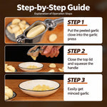 LsCook Stainless Steel Manual Garlic Masher Garlic Presser, No.3 Garlic Press, No.10 Garlic Press, No.9 Garlic Press