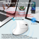 Mouse verticale HXSJ T22 2.4G BT5.1 Dual Mode