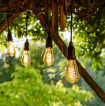 Catena di luci per esterno E27 10 metri 8186991110101 818699111010 EL1942