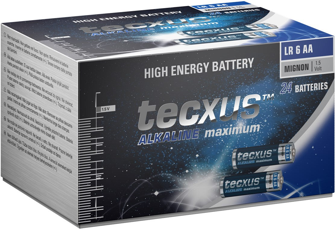 Batteria al manganese alcalino LR6/AA (Mignon) 12V confezione da 24 Tecxus 23818 4250145238189 F1473