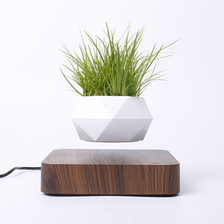 Vaso da fiori in plastica con base in legno e levitazione magneti