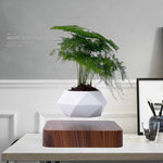 Vaso da fiori in plastica con base in legno e levitazione magneti