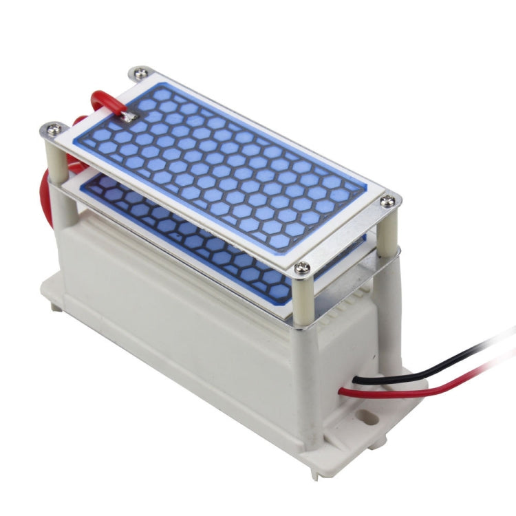 Generatore di ozono 10g DC 12V per sterilizzazione aria