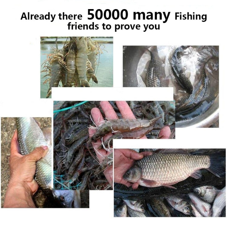 Rete da pesca pieghevole automatica in nylon 4 fori