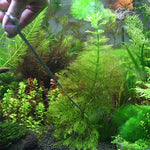 Set utensili per acquario: forbici, pinzette e clip in acciaio inox - immagine 6