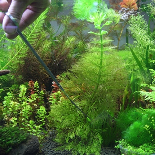 Set utensili per acquario: forbici, pinzette e clip in acciaio inox - immagine 6