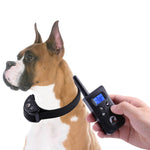 Collare antiabbaio PD520V con telecomando per cani