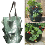 Borsa per piantare fragole in PE da 3 galloni