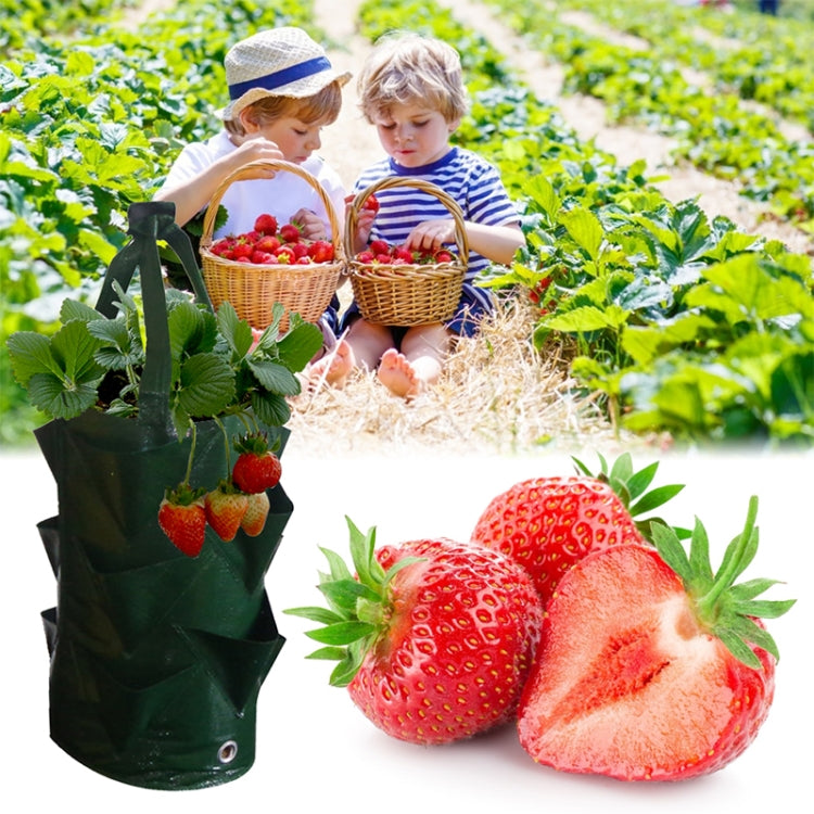 Borsa per piantare fragole in PE da 3 galloni