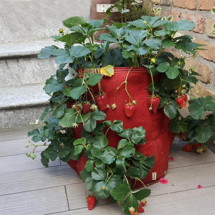 Borsa in feltro non tessuto per piantare fragole 6 tasche