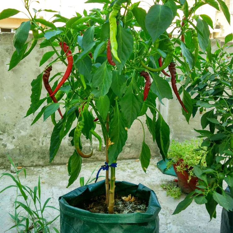 Borsa in feltro non tessuto per piantare fragole 6 tasche