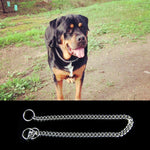 Collare per cani con catena P 55 cm