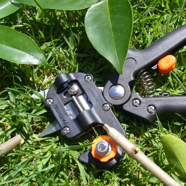 Set strumenti innesto professionale con 3 lame e coltello