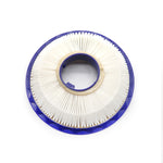 Filtro posteriore lavabile per aspirapolvere Dyson DC41/DC65